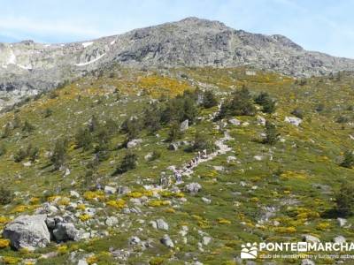 Ruta senderismo Peñalara - Parque Natural de Peñalara; power walking madrid